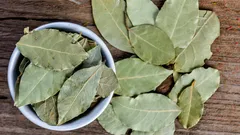 Why Do People Put a Bay Leaf in a Houseplant Pot?