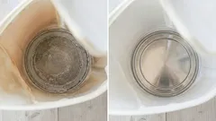 Your Kettle Will Shine Like New: How to Remove Limescale in Minutes Without Chemicals