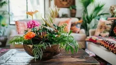 If You Water Your Houseplants with This Decoction, They Will Definitely Bloom