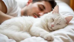 How Cats Decide Whom to Sleep With—and What Really Affects Their Choice