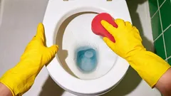 Two Tablets in Half a Liter of Water—and Even the Oldest Toilet Will Shine Like New