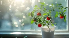 The plant you can grow in a yogurt jar and harvest year-round on your windowsill