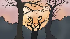 What Do You See in This Picture? A Psychological Test That Reveals How You See the World