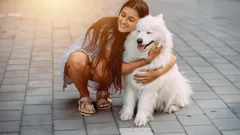 The Friendliest Dog Breeds for Families with Kids Who Truly Love People