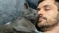 This Is How a Cat Shows Love: If She Does This, You’re Her Favorite Person