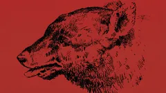 Can You Find the Person in This Optical Illusion?