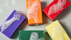 Why Dishwashing Sponges Come in Different Colors and What They Really Mean