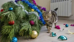 Simple natural cat repellent to protect your Christmas tree