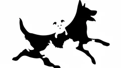 How many dogs do you see in the picture? A quick test reveals your psychological age