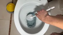 What to Do if Your Toilet Is Clogged: How to Unclog It Yourself and Avoid Calling a Plumber