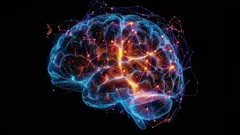 What Is Alzheimer’s and Why Does Our Memory Fade? A Scientific Explanation