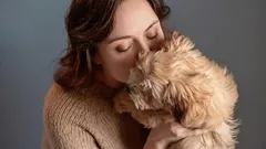 Dog breeds that hardly smell: The best choices for a fresh, clean apartment