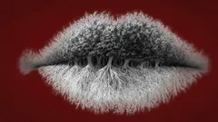 What Do You See First in the Picture? Find Out if You’re an Introvert, Extrovert, or Ambivert