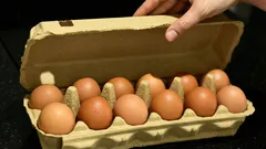 Where to Store Eggs: In the Fridge or Not — Eight Mistakes Almost Everyone Makes