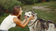 How to Talk to Your Dog So They Actually Understand You