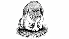 Can you spot the hidden owner in this adorable dog optical illusion