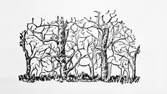 The First Animal You See in the Picture Will Reveal Your True Personality