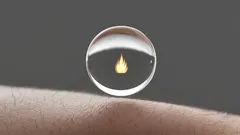 What Really Happens to Your Body When You Take a Cold Shower?