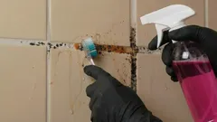 How to Get Rid of Mold in Tile Grout and Restore Its Original Look