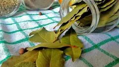 Why Put a Bay Leaf Under the Refrigerator in the Kitchen: Only a Few People Know the Answer