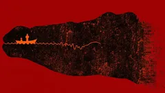 What You Saw First: A Psychological Test That Reveals Your Main Personality Traits