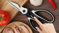 Do You Know What Those Little Teeth on Scissors Are For?