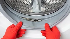 Why There’s Mold on Your Washer Seal and How to Keep It Away Without Spending Much