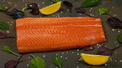 Which Fish Has the Fewest Bones: Perfect for Picky Kids and Adults