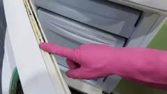 Why Does Mold Grow on Your Refrigerator Gasket—and How Can You Prevent It Cheaply?