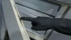 What Should You Do to Prevent Mold from Forming on Your Refrigerator Door Gasket?