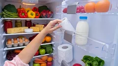 Why You Should Put a Roll of Toilet Paper in the Fridge — An Unexpected Household Trick
