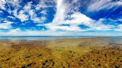 There is only one sea on Earth that has no shores.